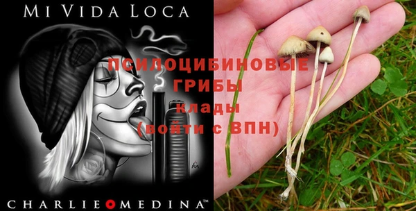 метадон Алзамай