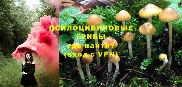 МДМА Алексеевка