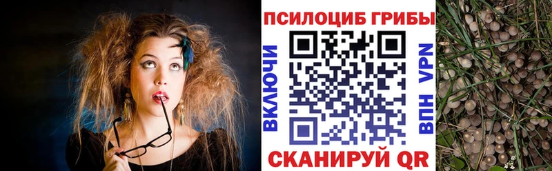 Псилоцибиновые грибы мицелий  Ефремов 